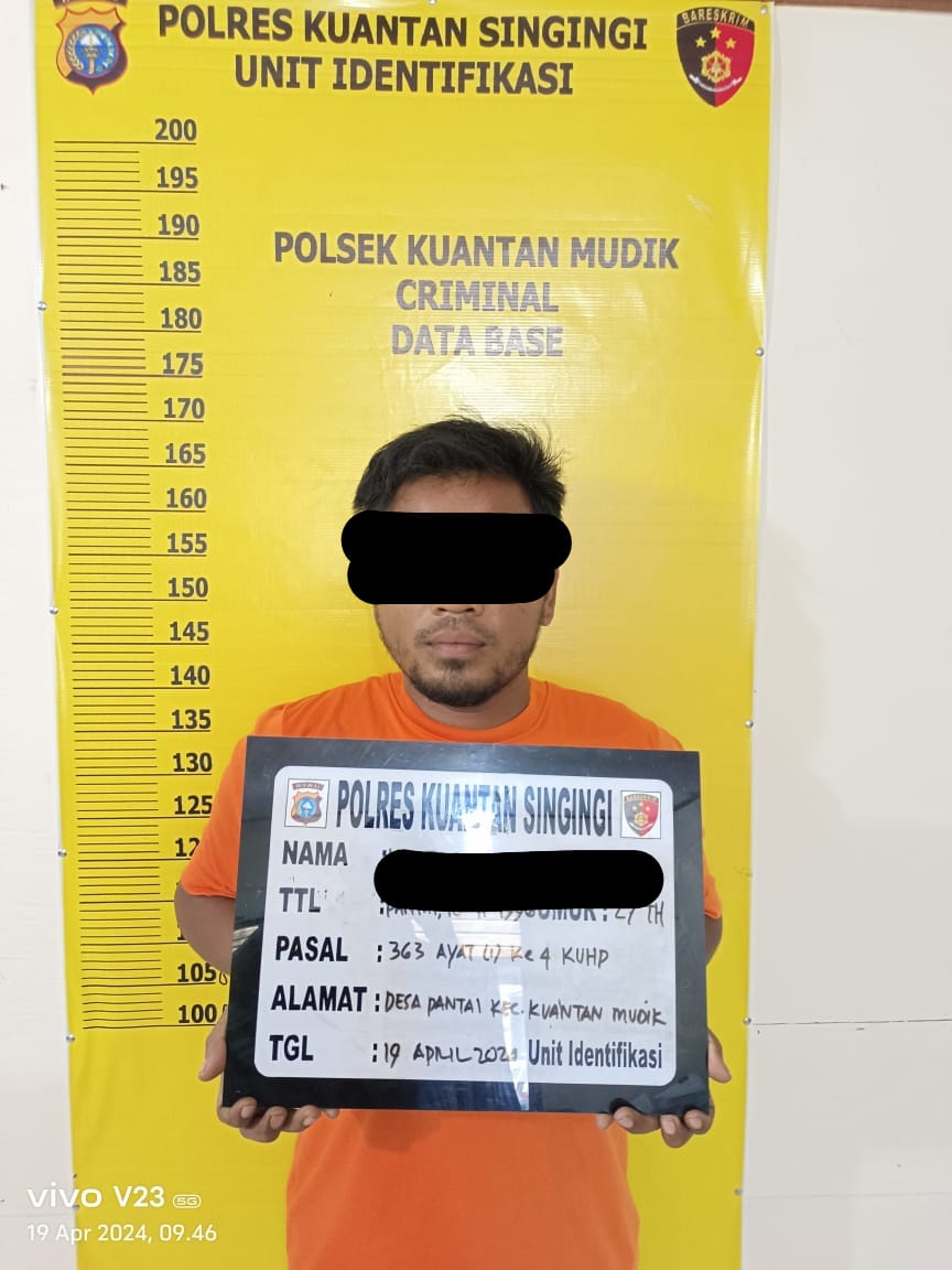 Polsek Kuantan Mudik Berhasil Ungkap Kasus Pencurian Buah Kelapa Sawit