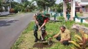 Peduli Kelestarian Alam, Babinsa Koramil 0808/16 Talun Bersama Warga Laksanakan Penanaman Pohon