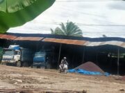 Diminta APH Tindak Tegas Lokasi Diduga Mafia Penampungan Inti Kelapa Sawit Ilegal