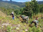 Pos Oelbinose Satgas Yonkav 6/Naga Karimata Bantu Masyarakat Bantu Masyarakat Panen Kacang Tanah