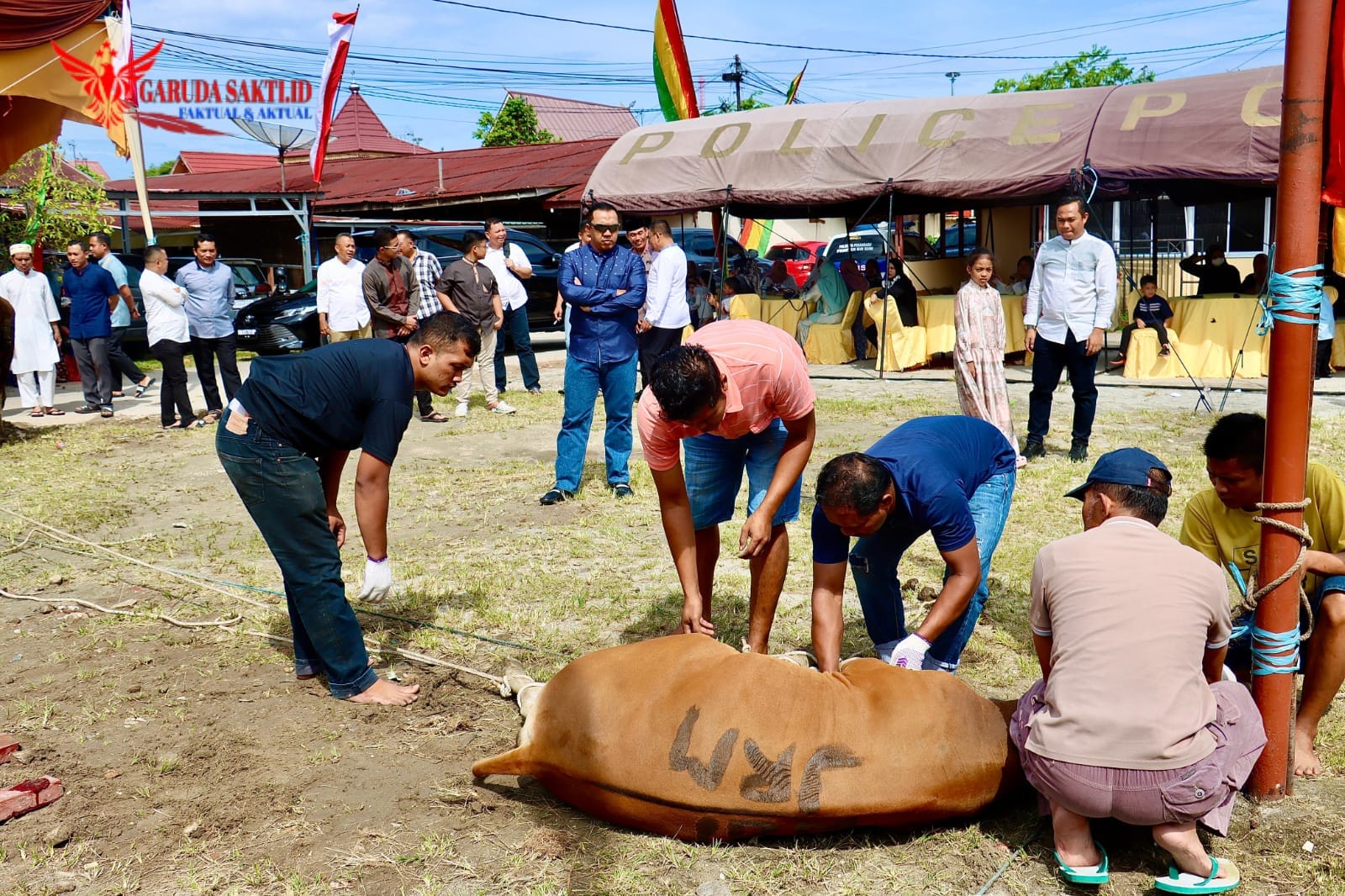 Idul Adha 1445 H, Polresta Pekanbaru Sembelih 13 Ekor Hewan Qurban