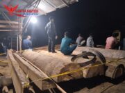 Polres Kampar Ungkap Kasus Illegal Logging Di Sawmill Terbesar Diwilayah Hukumnya