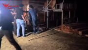 5 Pelaku Ilegal Logging di Desa Siabu Diringkus Polres Kampar