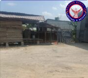 Berita Salah Sasaran, Omset Ikan Lele dan Minyak Serai Berdampak Akibat Pemberitaan