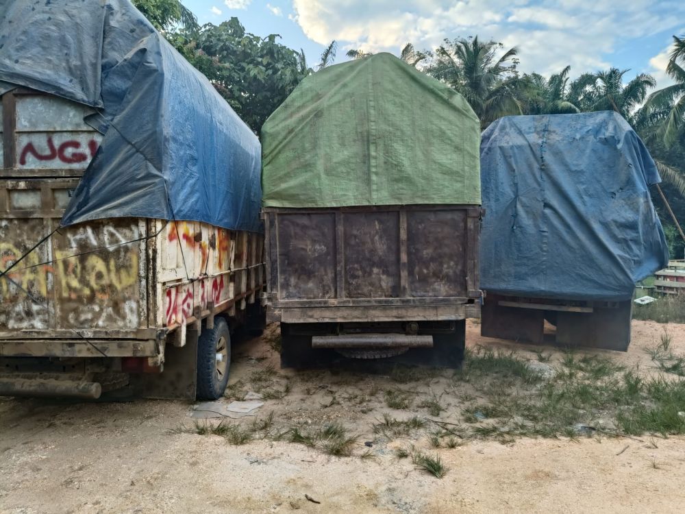 Pemilik Empat Truk Memuat Kayu Ilog Kabur Saat Ditangkap di Kampar