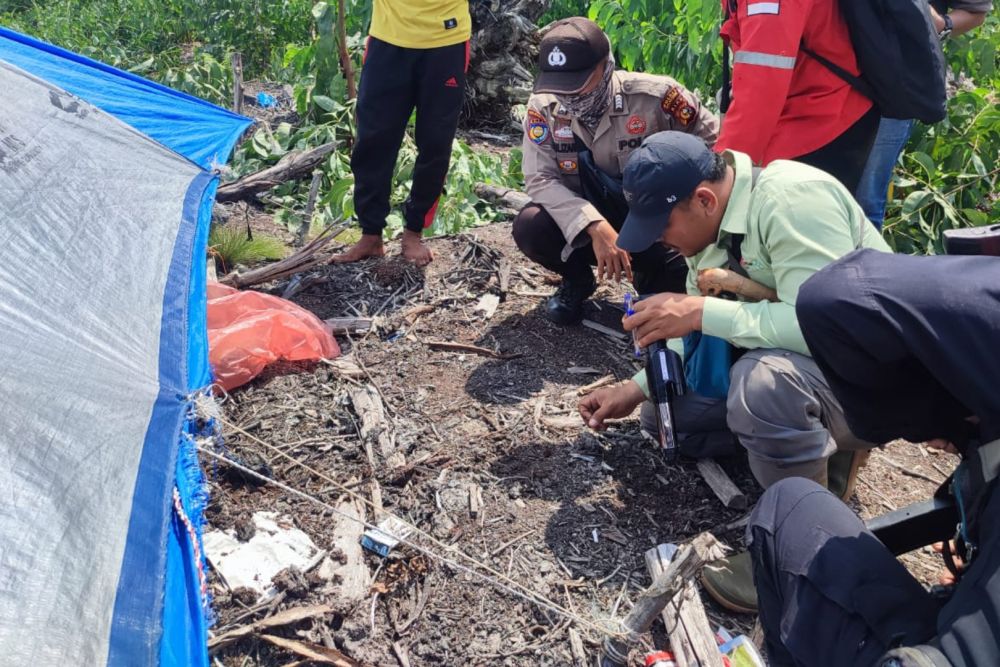 Kronologi Peristiwa Pekerja Perkebunan Akasia Diterkam Harimau