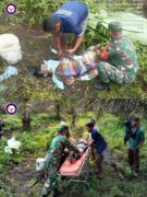 Diduga Sakit dan Kelaparan, Wanita Ini Ditemukan di Dalam Kebun Sawit dan Meninggal di RS