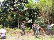 Guna Tingkatkan Swasembada Pangan, Petani Lakukan Praktek Wanatani, Hutan Pangan, Pembenihan dan Pasca Panen