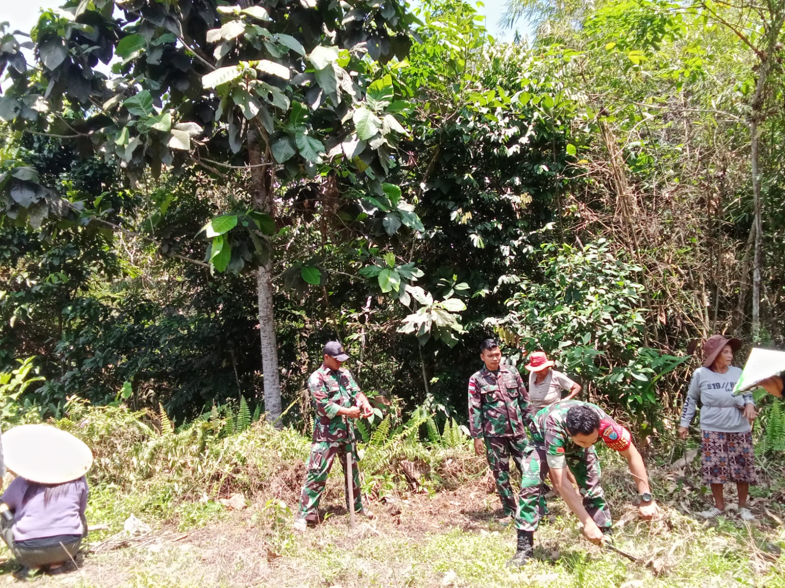 Guna Tingkatkan Swasembada Pangan, Petani Lakukan Praktek Wanatani, Hutan Pangan,  Pembenihan dan Pasca Panen