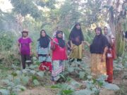 Kelompok Wanita Tani (KWT) ALDEWIS Desa Sipungguk: Membangun Kemandirian Perempuan dalam Pertanian