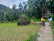 Keindahan Wisata Nagari Sisawah Tiada Tanding, Sayang nya Belum Terekspos Sepenuhnya, “Kami Butuh Investor
