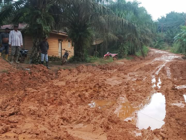 Masyarakat Pujud Kabupaten Rokan Hilir Desak Perbaikan Jalan Rusak Parah