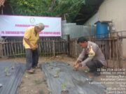 Polsek Cerenti Cek Persiapan Penanaman Cabe di Lahan Percontohan, Dukung Program ASTA CITA Presiden RI
