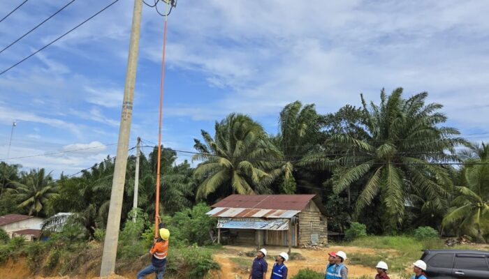 PLN Sukses Bangun Infrastruktur Kelistrikan, 67 Keluarga Dusun Terisolir di Tambusai Rokan Hulu Kini Nikmati Listrik 24 Jam