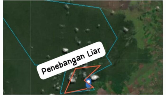 Hutan Desa Sungai Linau Bengkalis Menangis, APH Tutup Mata, Masih Adakah Penegak Hukum di Negara Ini? 