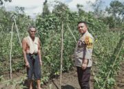 Bhabinkamtibmas Desa Sungai Raja Dukung Penuh Program Asta Cita: Tanam Benih Kebersamaan dan Ketahanan Pangan!