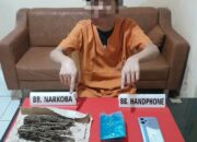 Polres Kampar Ringkus Mahasiswa Diduga Pengedar Ganja di Bangkinang Kota