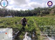 Bhabinkamtibmas Gading Sari Berikan Sentuhan “Sehat dan Aman” di Kebun dan Kolam Warga!