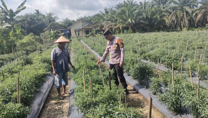 Polsek Ujungbatu Lakukan Peninjauan Lahan Program Ketahanan Pangan