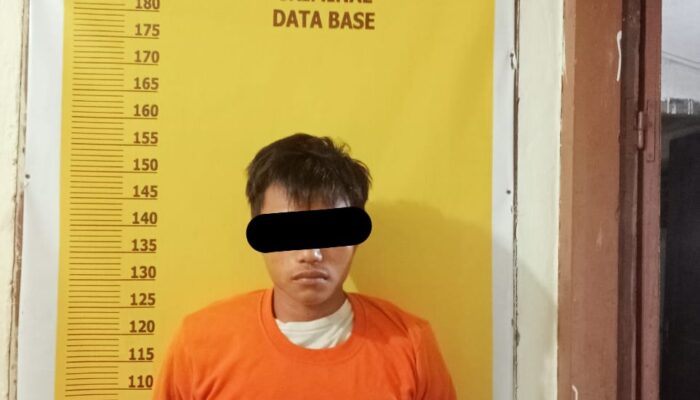 Polsek Cerenti Berhasil Ungkap Kasus Pencurian Tandan Buah Kelapa Sawit