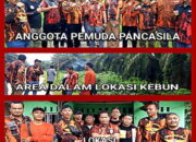 Pengamanan Lahan 537 Hektar di Kabupaten Rokan Hilir oleh Pemuda Pancasila