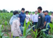 Kapolda Riau Tinjau Dua Lahan Ketahanan Pangan, Dorong Implementasi Program Prioritas Presiden