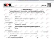 Dapat Gaji Besar di PLN, Tapi LHKPN-nya Mencurigakan, Siapa Sayfa Auliya Achidsti?