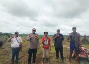 Polsek Pangean Tinjau Lokasi Penanaman Jagung Pipil Di PT. Gatipura Mulya Dukung Program Ketahanan Pangan