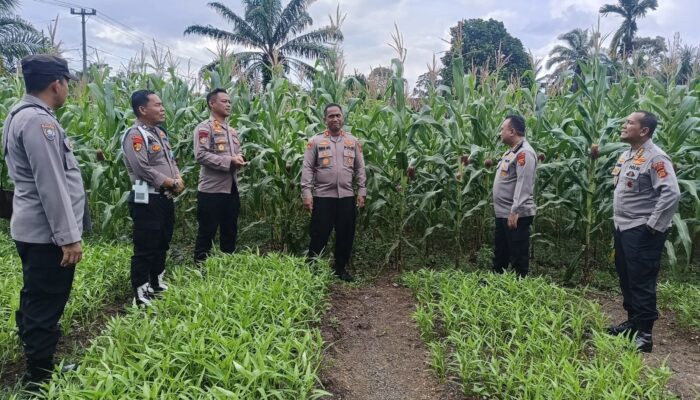 Kapolsek Tebo ilir Terima Kunjungan Rutin Kapolres Tebo Didampingi Kajari tebo Bersama Tim Supervisi Dan Asistensi Ketahanan Pangan