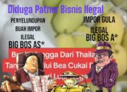 GAWAT !!! Gula Impor Ilegal Dan Buah Impor Ilegal Merajalela, Diduga milik BOS berinsial AK* Dan Patner berinsial AS*