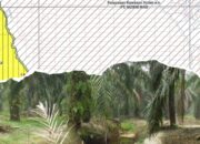 Skandal Besar! PT Musim Mas Diduga Langgar HGU dan Tanam Sawit di Kawasan Terlarang
