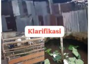 Viral Tuduhan Mafia BBM di Tenayan Raya, Warga Klarifikasi: “Itu Kandang Kambing, Bukan Gudang Ilegal!”