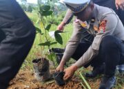 Sat Lantas Polres Rohul Laksanakan Penanaman Pohon, Dukung Program Kapolda Riau Untuk Penghijauan
