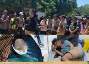 Konflik SAD Dan Masyarakat di Tebo: Kronologi dan Dampaknya