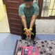 Polsek Tambang Ringkus Pengedar Sabu di Desa Birandang, Satu Paket Sabu Diamankan!