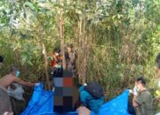 Geger! Warga Temukan Pria Tergantung di Pohon Akasi Dalam Kondisi Sudah Membusuk