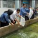 DUKUNG KETAHANAN PANGAN, BERSAMA KAKANWIL PK AHLI UTAMA TEBAR BIBIT IKAN LELE DI LAPAS PEREMPUAN PEKANBARU