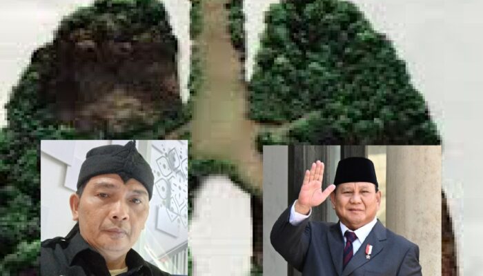 DPP LSM MAUNG Desak Presiden Prabowo Terbitkan Keppres Audit Terpadu Hutan Kalbar