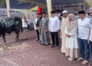 Ketua DPD Gerindra Riau M Rahul Serahkan Daging Kurban Milik Presiden RI Prabowo Subianto Kepada Masyarakat