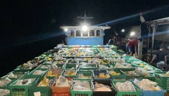 Miris, Pemilik Tidak Diketahui Bea Cukai Inhil Tangkap Kapal Pembawa 15 Ton Mangga, Kasus Dilimpahkan ke Karantina