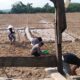 Perjuangan Hidup Petani Lingkungan Teratak di Tengah Kekeringan