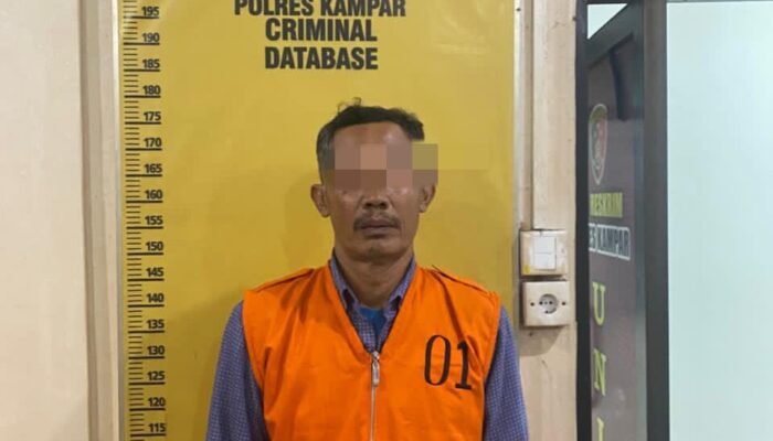 Rugikan Negara Rp 500 Juta Lebih, Kades Kusau Makmur di Tangkap Polres Kampar