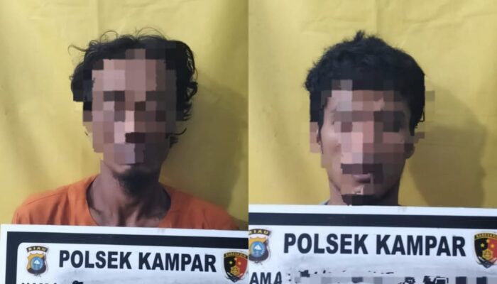 Polsek Kampar Sikat Pencuri Sawit, Puluhan Tandan dan Sepeda Motor Jadi Barang Bukti