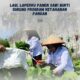 LAPERRU PANEN SAWI BUKTI DUKUNG PROGRAM KETAHANAN PANGAN