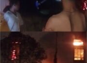 Si Jago Merah Lalap Rumah Warga di Pasir Sialang, Damkar Kampar Bergerak Cepat