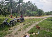 Ketua DPRD Kampar Ahmad Taridi Inisiatif Pelebaran Jalan Tikungan di Desa Sei Kijang Jaya Untuk Atasi Kecelakaan