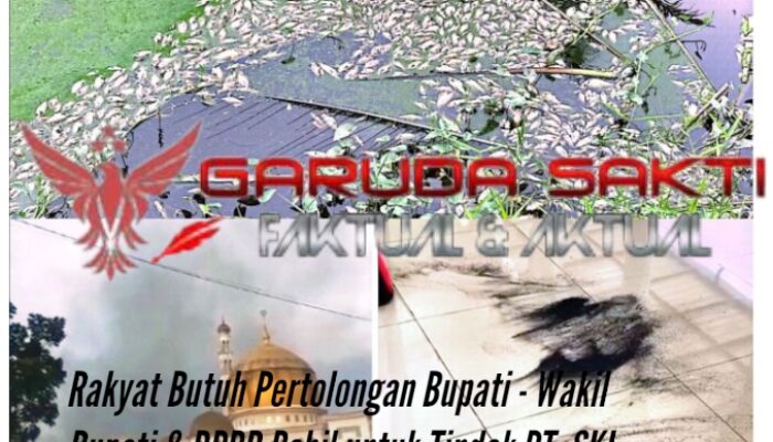 Pencemaran Udara dan Limbah PT. Simpang Kanan Lestarindo Diduga Langgar UU Lingkungan Hidup, Warga Teriak Minta Bupati – Wakil Bupati & DPRD Rohil Bertindak!