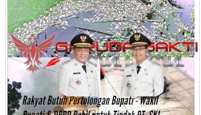 Kerusuhan Pecah di Simpang Kanan Saat Satgas Gakkum DLH Tiba, Warga Minta Bupati dan Wabup Rohil Bertindak Tegas Terhadap PT. SKL