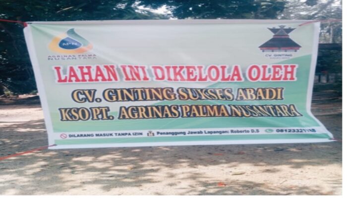 Warga Desa Kota Lama – Rokan Hulu Resah, Sekelompok Orang Atasnamakan KSO PT Agrinas Palma Nusantara Tiba-Tiba Panen Sawit Warga