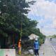 PLN ULP Rumbai Tertibkan Ranting Pohon di Jalan Paus, Pastikan Pasokan Listrik Aman dan Andal